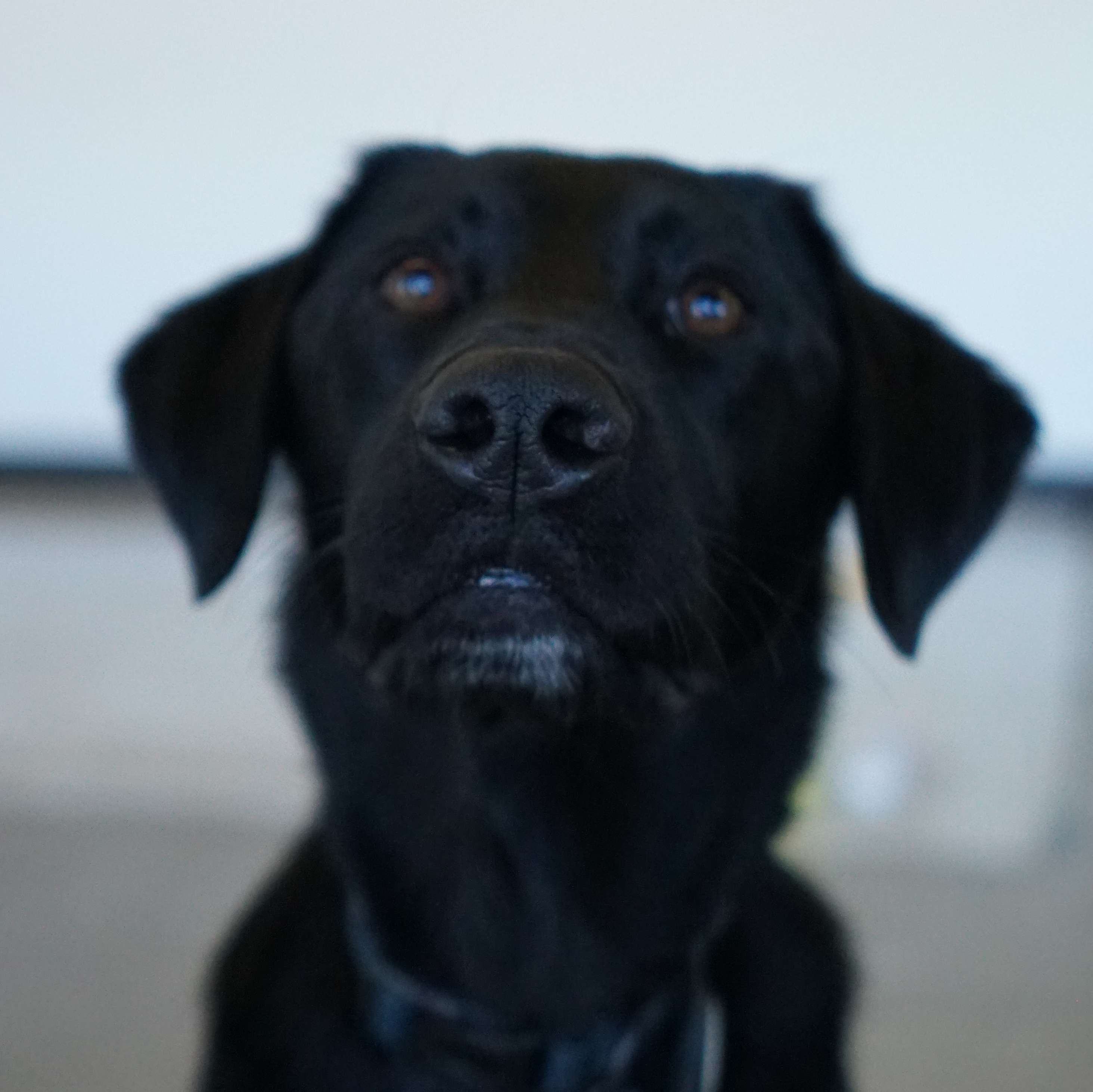 [headshot] image of customer (for a trucking company)
